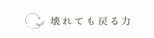 壊れても戻る力